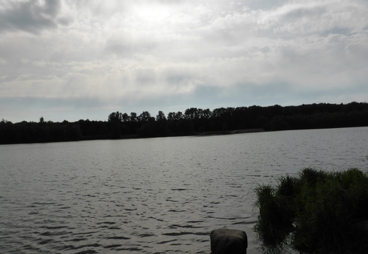 Der Rubbenbruchsee im Frühsommer 2014